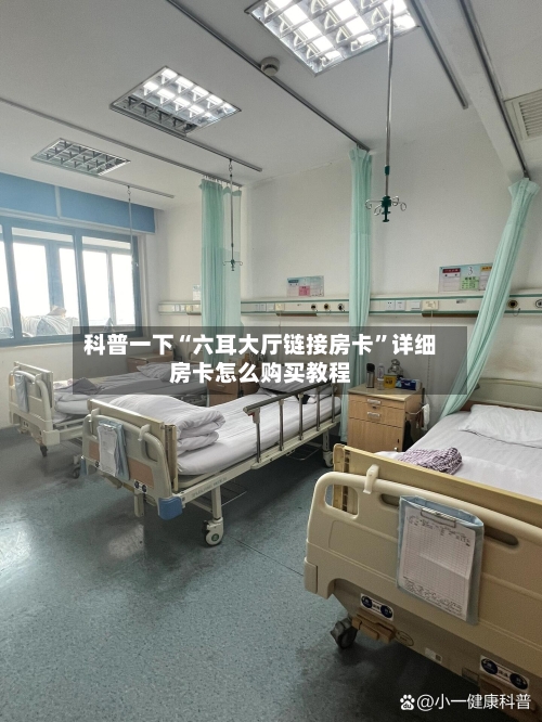 科普一下“六耳大厅链接房卡	”详细房卡怎么购买教程-第3张图片