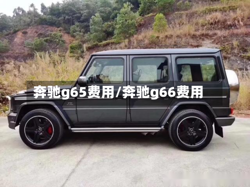 奔驰g65费用/奔驰g66费用