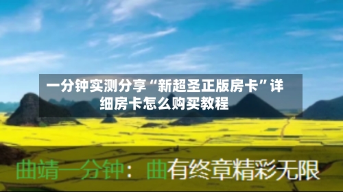 一分钟实测分享“新超圣正版房卡”详细房卡怎么购买教程-第2张图片