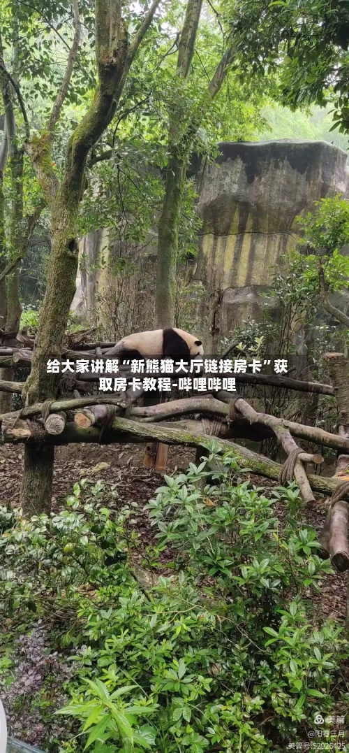 给大家讲解“新熊猫大厅链接房卡”获取房卡教程-哔哩哔哩-第3张图片
