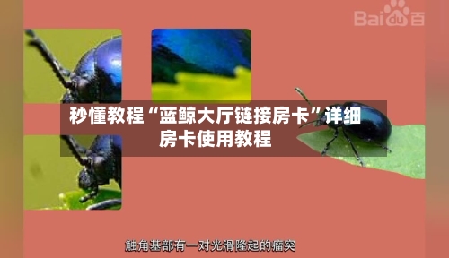 秒懂教程“蓝鲸大厅链接房卡”详细房卡使用教程-第2张图片