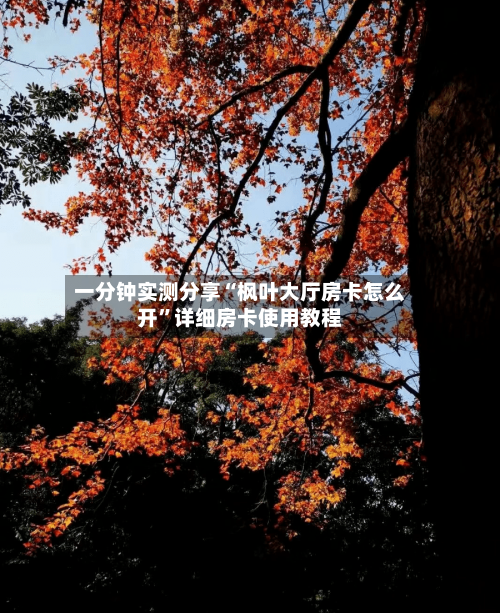 一分钟实测分享“枫叶大厅房卡怎么开”详细房卡使用教程-第2张图片