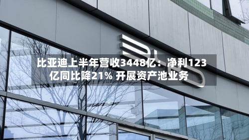 比亚迪上半年营收3448亿:净利123亿同比降21% 开展资产池业务-第3张图片