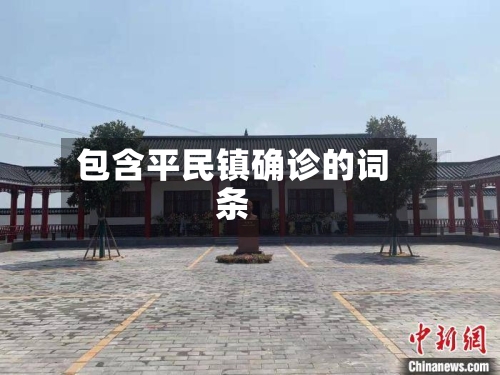 包含平民镇确诊的词条