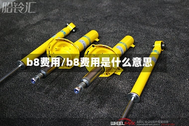 b8费用/b8费用是什么意思