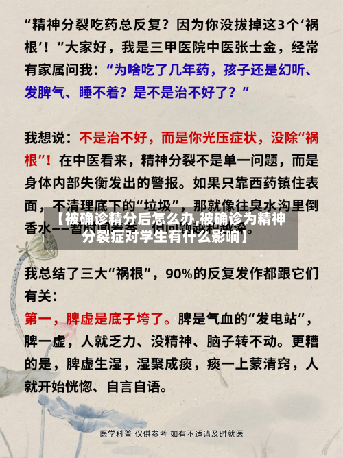 【被确诊精分后怎么办,被确诊为精神分裂症对学生有什么影响】-第3张图片