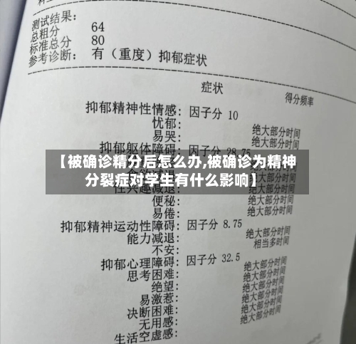 【被确诊精分后怎么办,被确诊为精神分裂症对学生有什么影响】-第2张图片