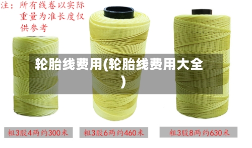 轮胎线费用(轮胎线费用大全)-第2张图片