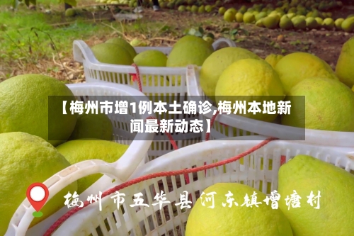 【梅州市增1例本土确诊,梅州本地新闻最新动态】