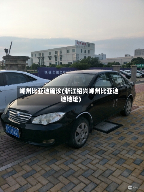 嵊州比亚迪确诊(浙江绍兴嵊州比亚迪迪地址)-第2张图片