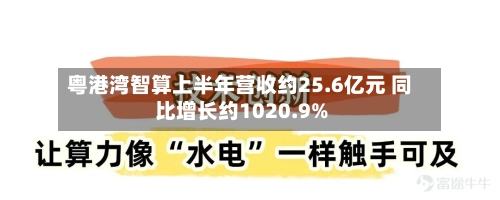 粤港湾智算上半年营收约25.6亿元 同比增长约1020.9%