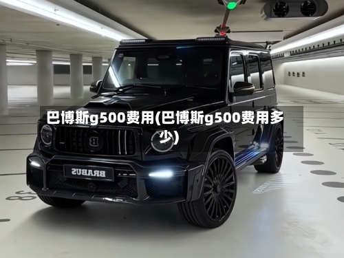 巴博斯g500费用(巴博斯g500费用多少)