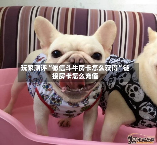 玩家测评“微信斗牛房卡怎么获得”链接房卡怎么充值-第2张图片