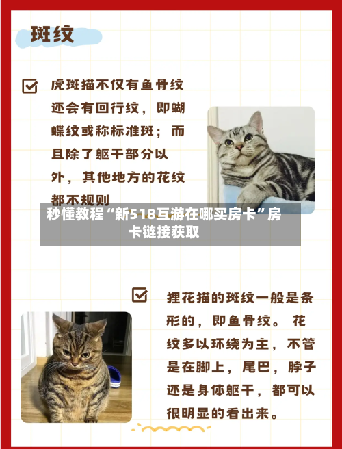 秒懂教程“新518互游在哪买房卡”房卡链接获取-第2张图片