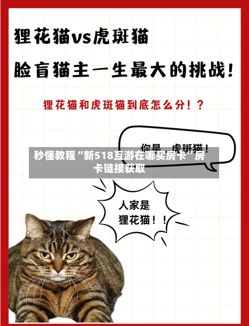 秒懂教程“新518互游在哪买房卡”房卡链接获取-第3张图片