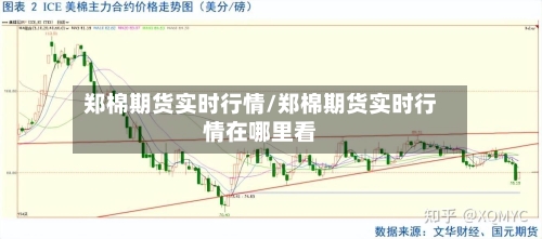 郑棉期货实时行情/郑棉期货实时行情在哪里看