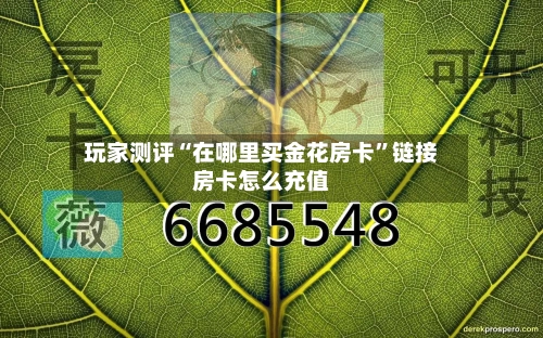 玩家测评“在哪里买金花房卡”链接房卡怎么充值-第2张图片
