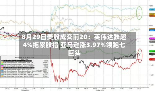 8月29日美股成交前20：英伟达跌超4%拖累股指 亚马逊涨3.97%领跑七巨头
