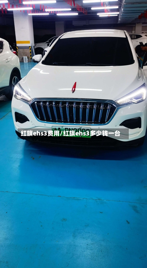 红旗ehs3费用/红旗ehs3多少钱一台