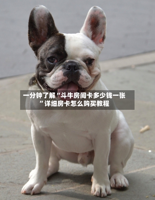 一分钟了解“斗牛房间卡多少钱一张”详细房卡怎么购买教程-第2张图片