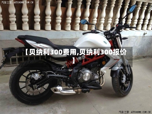 【贝纳利300费用,贝纳利300报价】-第2张图片