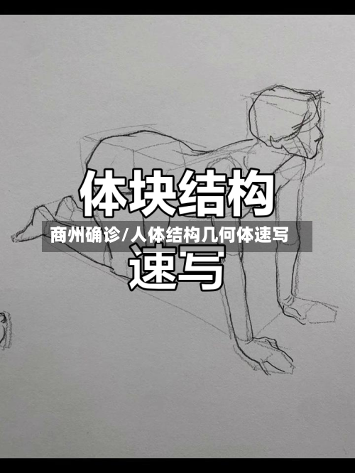商州确诊/人体结构几何体速写-第2张图片
