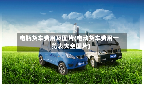 电瓶货车费用及图片(电动货车费用一览表大全图片)