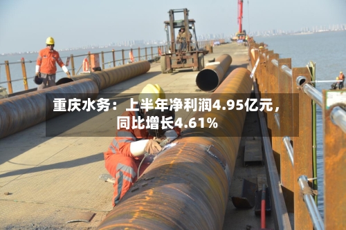 重庆水务：上半年净利润4.95亿元，同比增长4.61%-第3张图片
