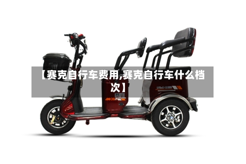【赛克自行车费用,赛克自行车什么档次】