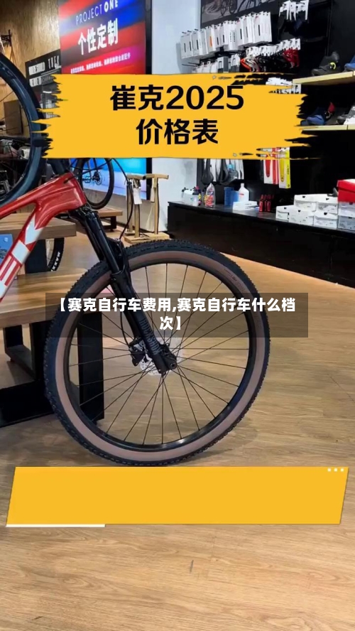 【赛克自行车费用,赛克自行车什么档次】-第2张图片