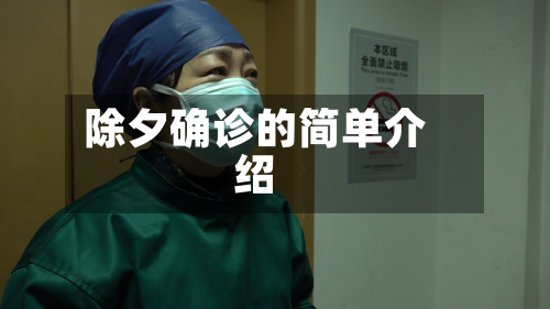 除夕确诊的简单介绍