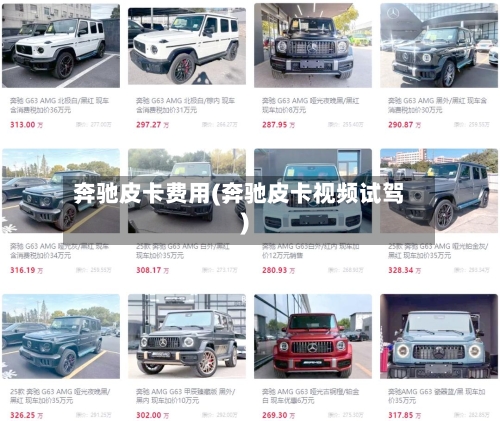 奔驰皮卡费用(奔驰皮卡视频试驾)
