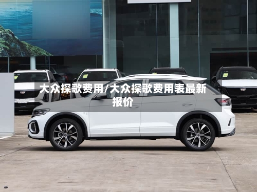 大众探歌费用/大众探歌费用表最新报价-第2张图片