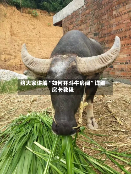 给大家讲解“如何开斗牛房间”详细房卡教程-第2张图片
