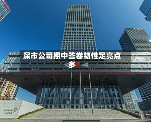 深市公司期中答卷韧性足亮点多