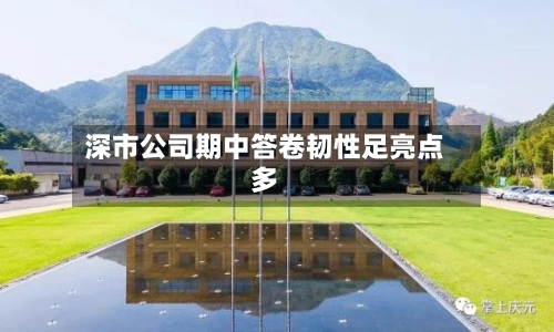 深市公司期中答卷韧性足亮点多-第3张图片