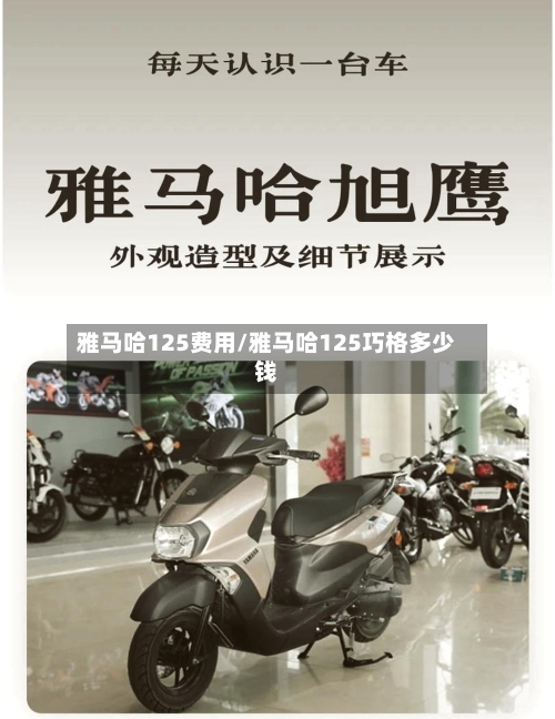 雅马哈125费用/雅马哈125巧格多少钱