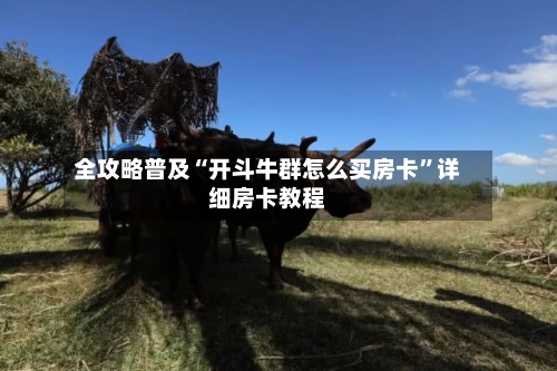 全攻略普及“开斗牛群怎么买房卡”详细房卡教程-第3张图片