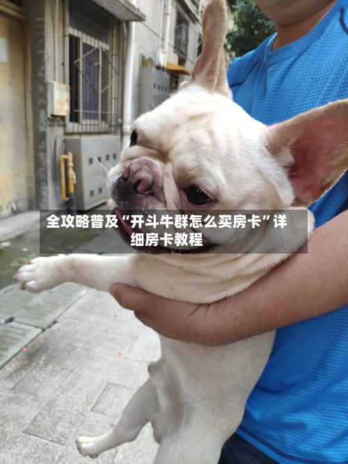 全攻略普及“开斗牛群怎么买房卡	”详细房卡教程-第2张图片