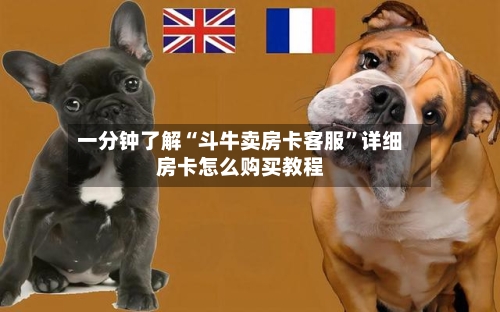 一分钟了解“斗牛卖房卡客服”详细房卡怎么购买教程