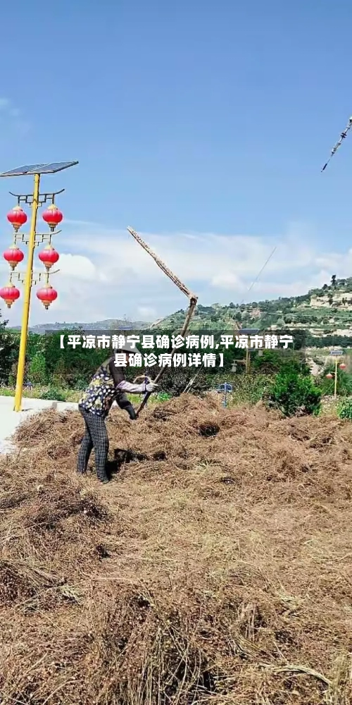 【平凉市静宁县确诊病例,平凉市静宁县确诊病例详情】-第2张图片