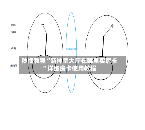 秒懂教程“新神皇大厅在哪里买房卡”详细房卡使用教程-第2张图片