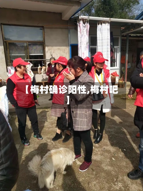 【梅村确诊阳性,梅村吧】-第2张图片