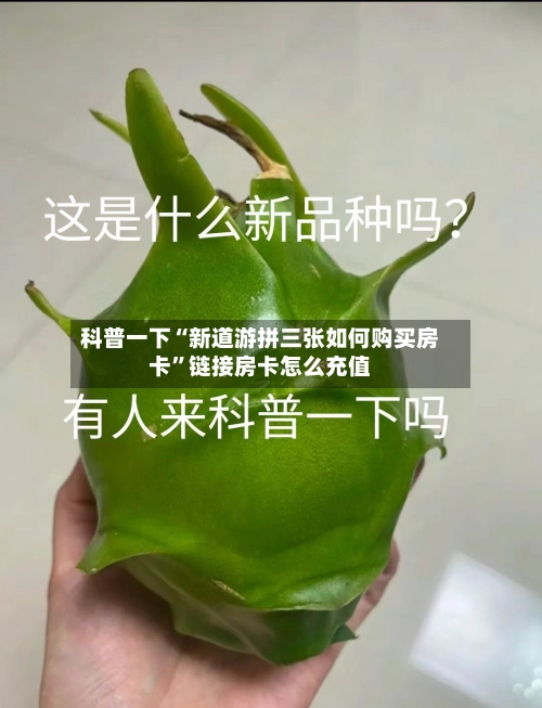 科普一下“新道游拼三张如何购买房卡	”链接房卡怎么充值-第2张图片