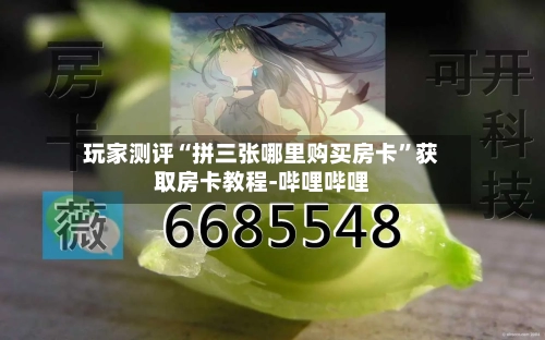 玩家测评“拼三张哪里购买房卡”获取房卡教程-哔哩哔哩-第2张图片