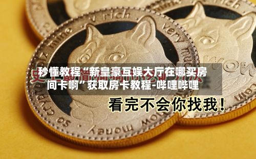 秒懂教程“新皇豪互娱大厅在哪买房间卡啊”获取房卡教程-哔哩哔哩-第2张图片