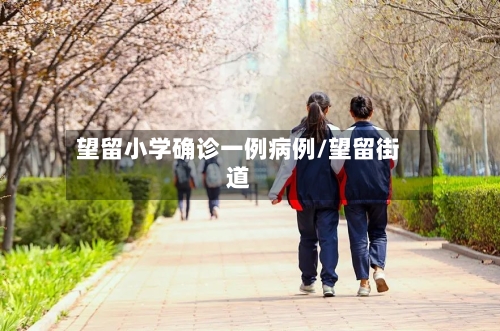望留小学确诊一例病例/望留街道-第3张图片