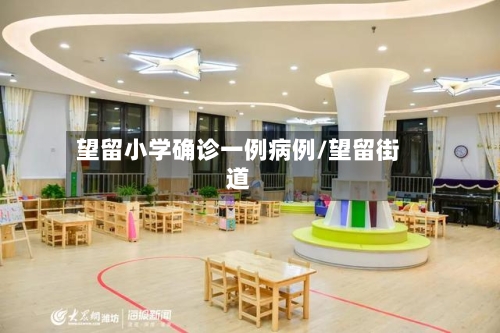 望留小学确诊一例病例/望留街道-第2张图片