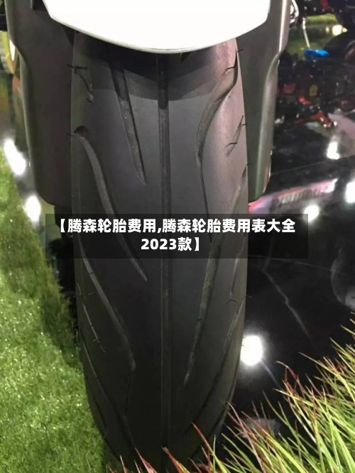 【腾森轮胎费用,腾森轮胎费用表大全2023款】