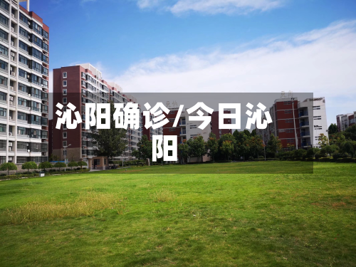 沁阳确诊/今日沁阳